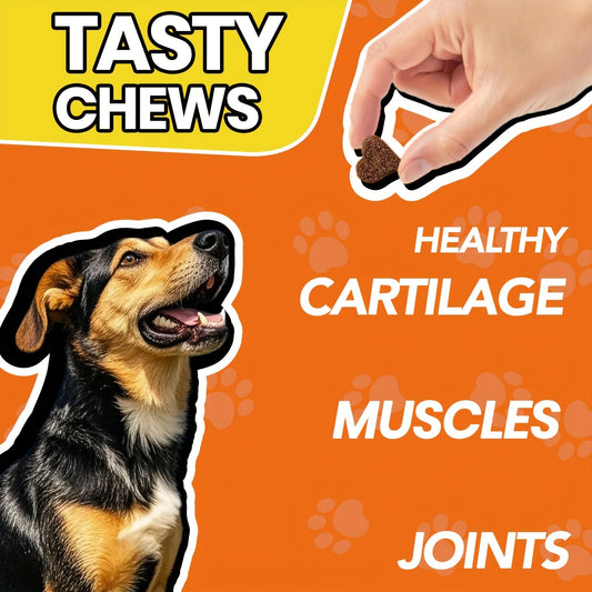 Dog Hip & Joint Supplement - Glucosamine, Chondroitin, MSM & Salmon Oil, Chicken Flavor, 90 Count