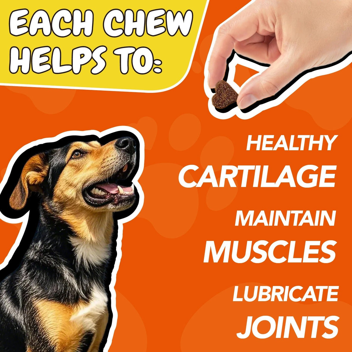 Dog Joint Supplement Chews – Glucosamine, Chondroitin & Alaskan Salmon Oil for Dogs & Cats, Mobility & Cartilage Support, 90 Soft Chews Chicken Flavor, 90-Day Supply