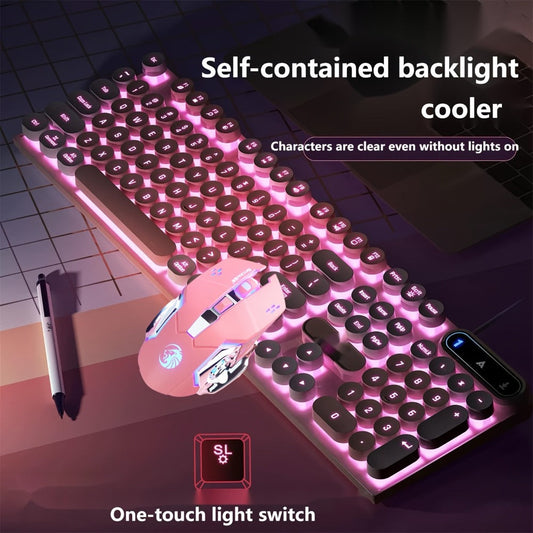 Retro Punk Keyboard and Mouse Set 104 Keys Silent Mechanical Feeling 6D Macro Mouse USB Wired Ergonomic Design for PC Laptop Desktop Gaming Office Home Creative Workstation