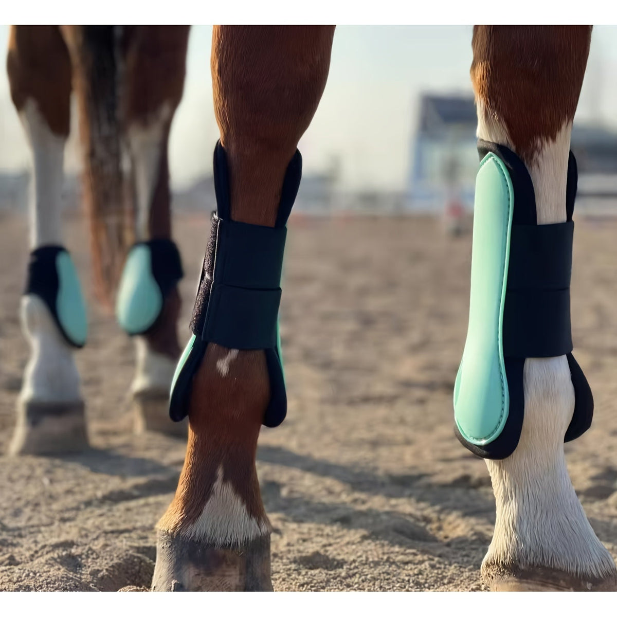 Horse Boots Set of 4 – Open Front Tendon & Fetlock Leg Protection Boots, PU Neoprene Splint Boots for Training, Racing, Riding & Jumping, Full, COB & Pony Sizes, 10 Colors
