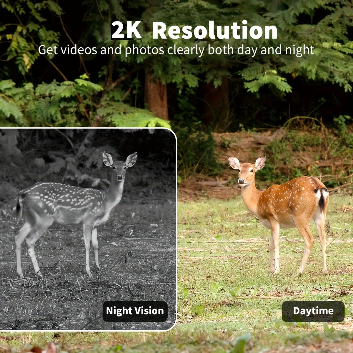 4G Cellular Game Camera Solar Powered - 2K Live View, 0.02s Motion Trigger, Night Vision, No WiFi Needed for Hunting & Wildlife