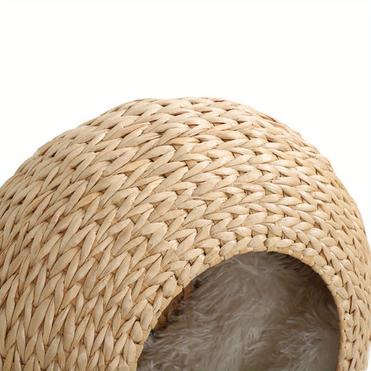 Wall-Mounted Cat Condo with Washable Cushion, Natural Wood Finish