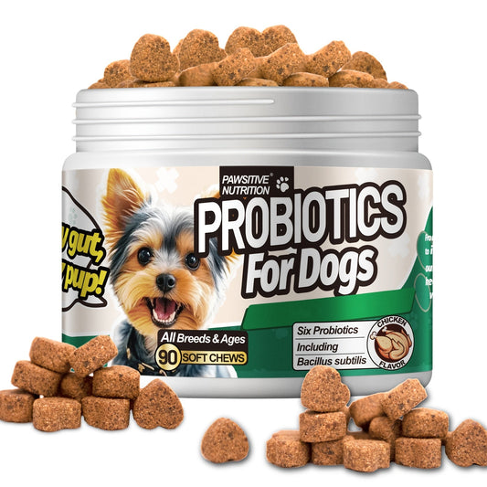 Dog Probiotic Soft Chews with Prebiotic, Chicken Flavor, 90 Count