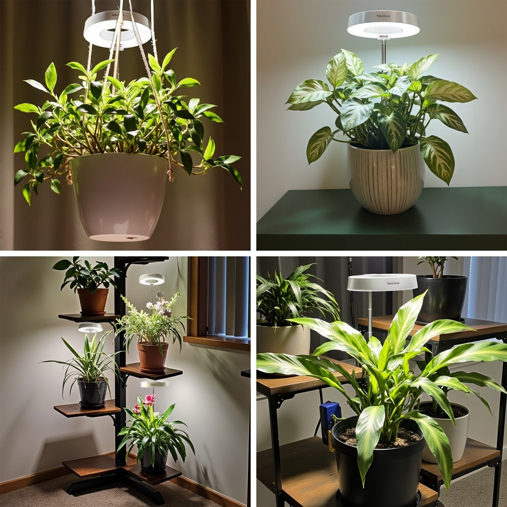 Full Spectrum LED Grow Lights for Indoor Plants – 3-Pack with Auto Timer 3/6/9H, 4 Dimmable Levels & Adjustable Height | Desk Lamp for Seedlings, Herbs, Succulents & Houseplants