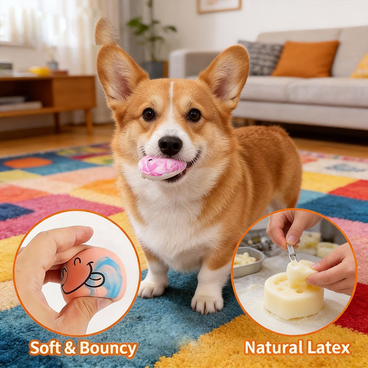 Squeaky Dog Balls, 6-Pack Latex Fetch Toys with Multicolor Cartoon Designs