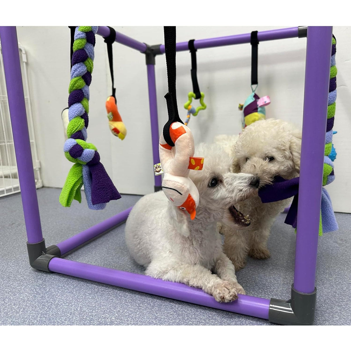 Puppy Gym Jungle Playground with Hammock – 8 Hanging Interactive Toys to Keep Puppies Busy & Stimulated