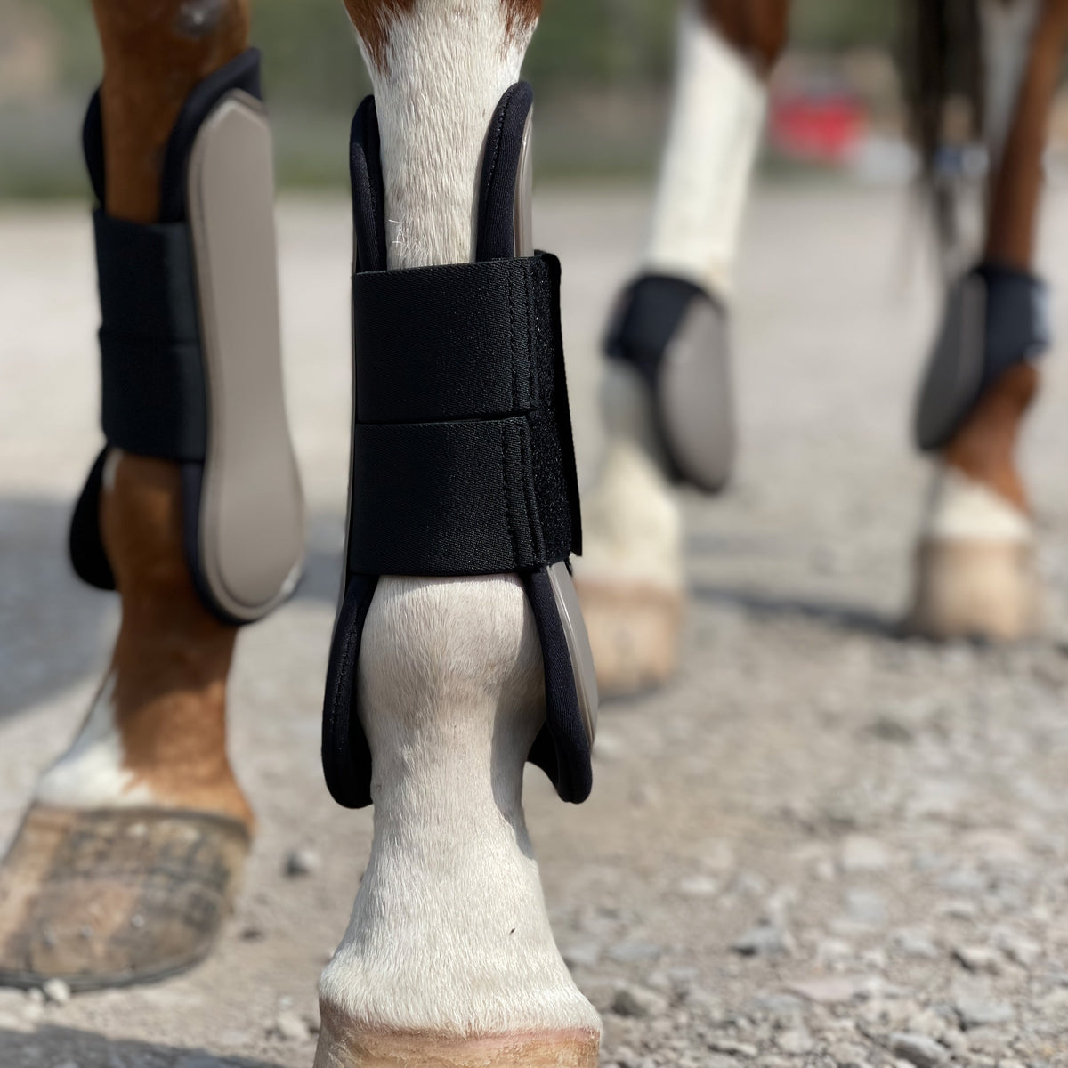 Horse Boots Set of 4 – Open Front Tendon & Fetlock Leg Protection Boots, PU Neoprene Splint Boots for Training, Racing, Riding & Jumping, Full, COB & Pony Sizes, 10 Colors