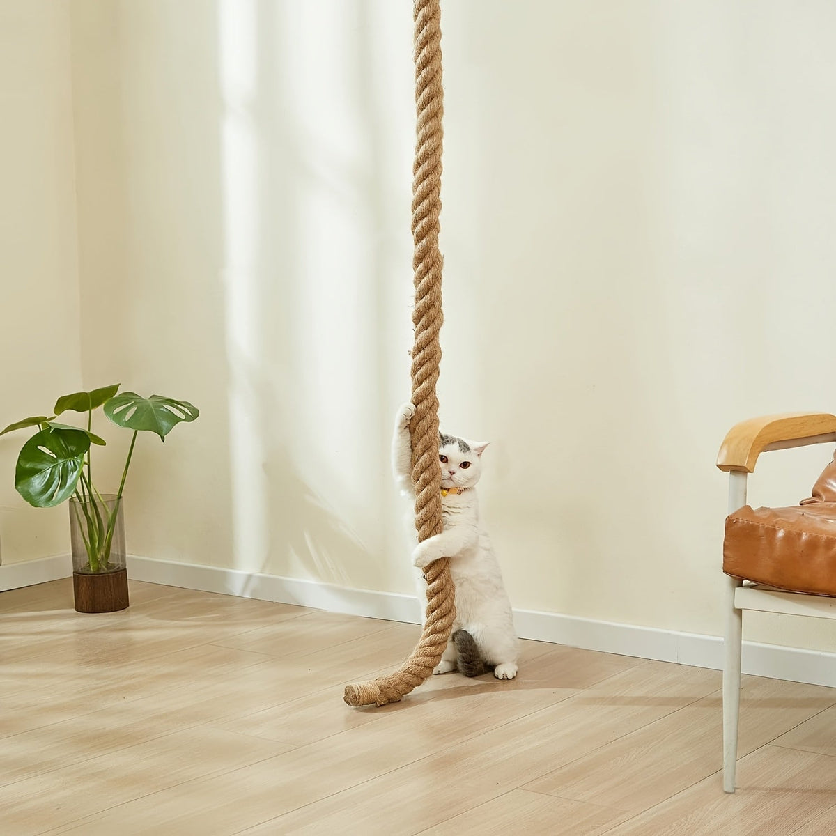 Wall-Mounted Cat Scratching Post with Climbing Rope Jute Rope Jump Platform Resting Perch Large Ladder Cat Tree Activity Center Space-Saving 1.5M 60in