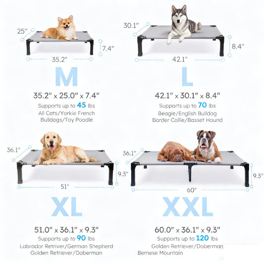 Elevated Mesh Dog Bed with Metal Frame for Indoor and Outdoor Use, Four Size Options