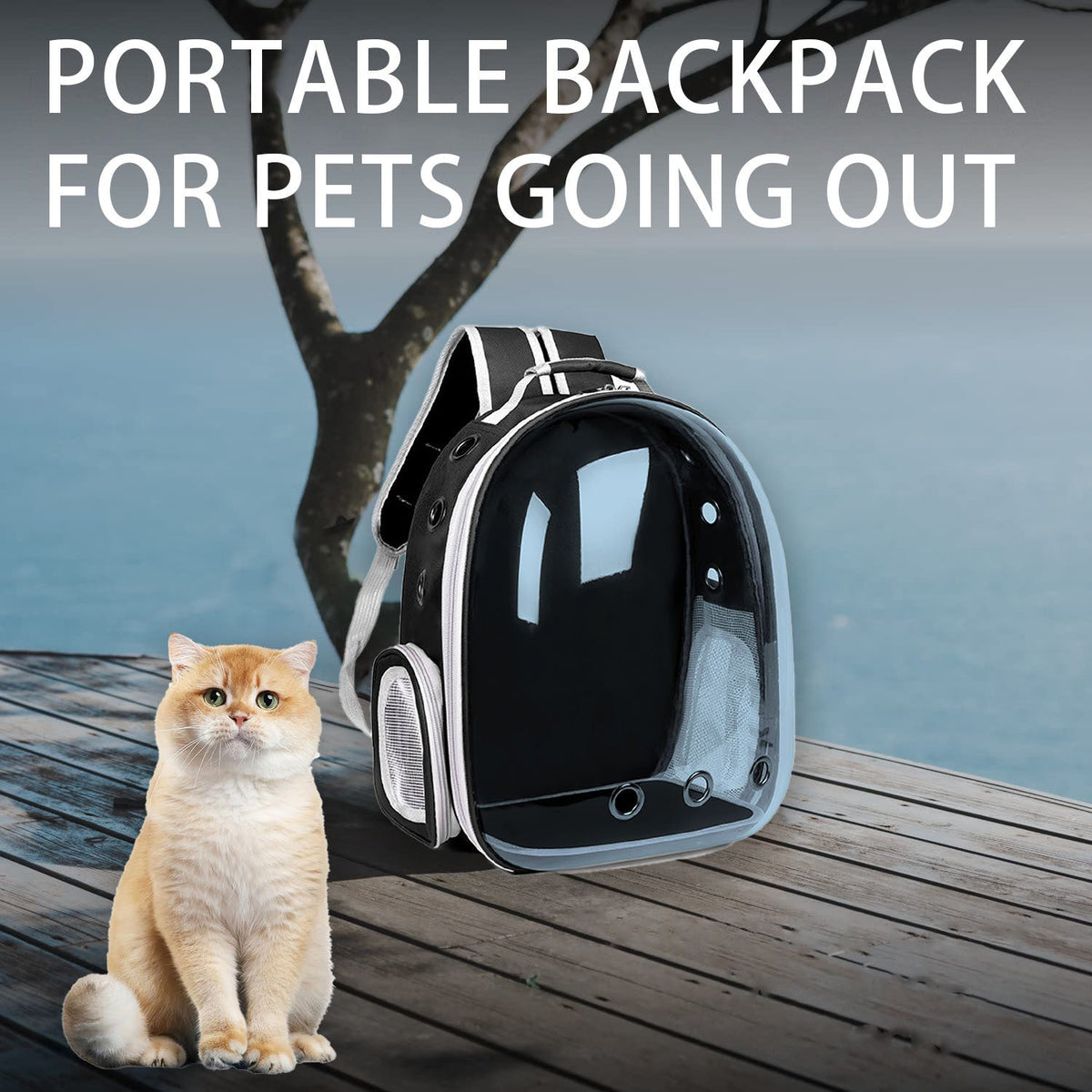 Cat Carrier Backpack Transparent Space Capsule - Portable Breathable Pet Travel Bag for Cats & Small Dogs, Panoramic Window Outdoor Going-Out Backpack with Random Pet Accessories Included