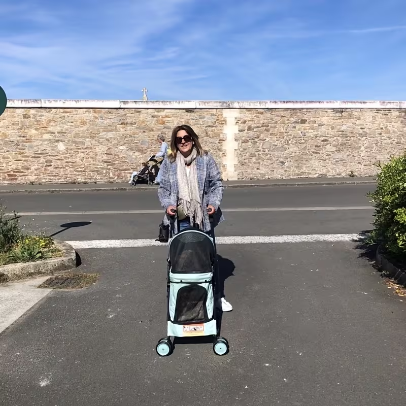 Pet Stroller for Small Dogs & Cats | Foldable Travel Dog Stroller, Portable Puppy Cat Pram with 4 Wheels, Canopy & Storage Basket, Lightweight Jogger Stroller for Pets Up to 33 lbs, 5 Colors