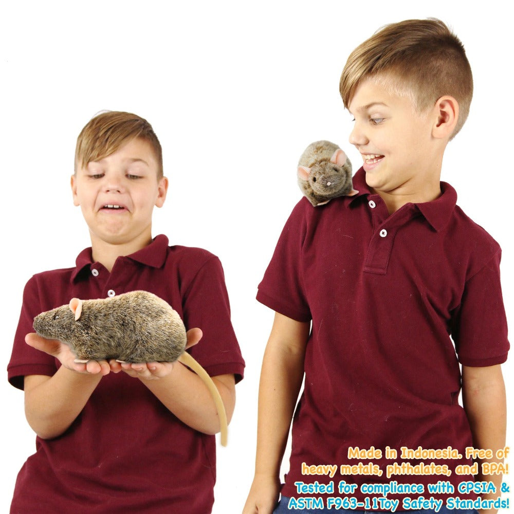 Reuben The Rat Plush, 7-Inch Norway Rat with Story Card