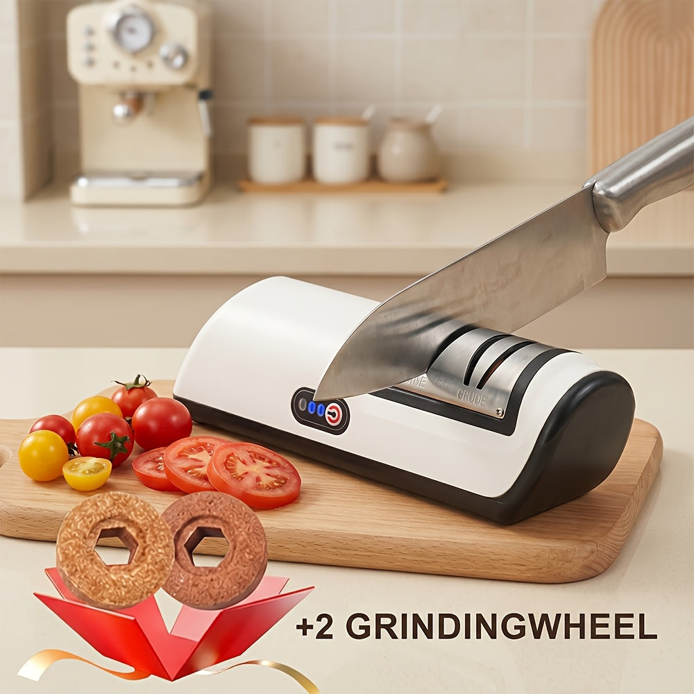 Electric Knife Sharpener 2-Stage – Automatic Professional Kitchen Knife Sharpener with Built-In Guides & Sanding Wheel for All Knives, Santoku, Fillet, Chef & Hunting Blades