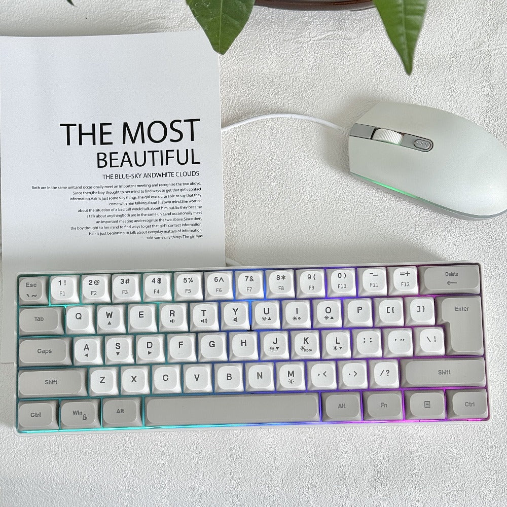 RGB Gaming Keyboard 68 Key Wired Mechanical Feel with RGB Backlight Film Switch Keycap Detachable Cable Compact TKL Layout for Gaming Office PC – 61/68 Key Multi-Color Options (K701)