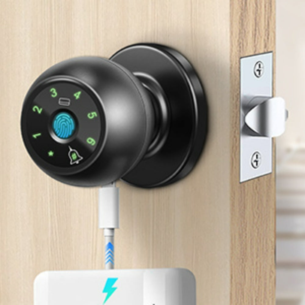 Biometric Handle Lock 5-in-1 Keyless Entry with Fingerprint, App, IC Card, Password & Backup Key – Silent Mode, Anti-Peep Keypad, Electronic Smart Door Handle for Bedroom Apartment Interior Door