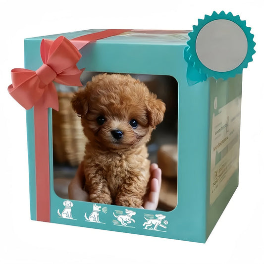 Puppy Toy with Interactive Robot and Non-Movable Cloth Puppet Options
