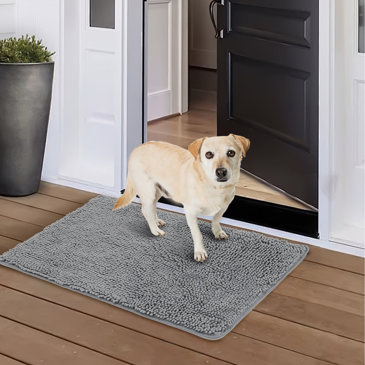 Dog Door Mat for Muddy Paws – Absorbent Non-Slip Quick-Dry Microfiber Mat | Machine Washable | Single or 2-Pack | 24×17" & 32×20"