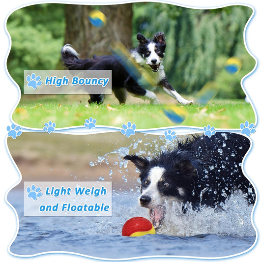Squeaky Dog Balls, 2.5-Inch Rubber Fetch and Training Toys, 6-Pack
