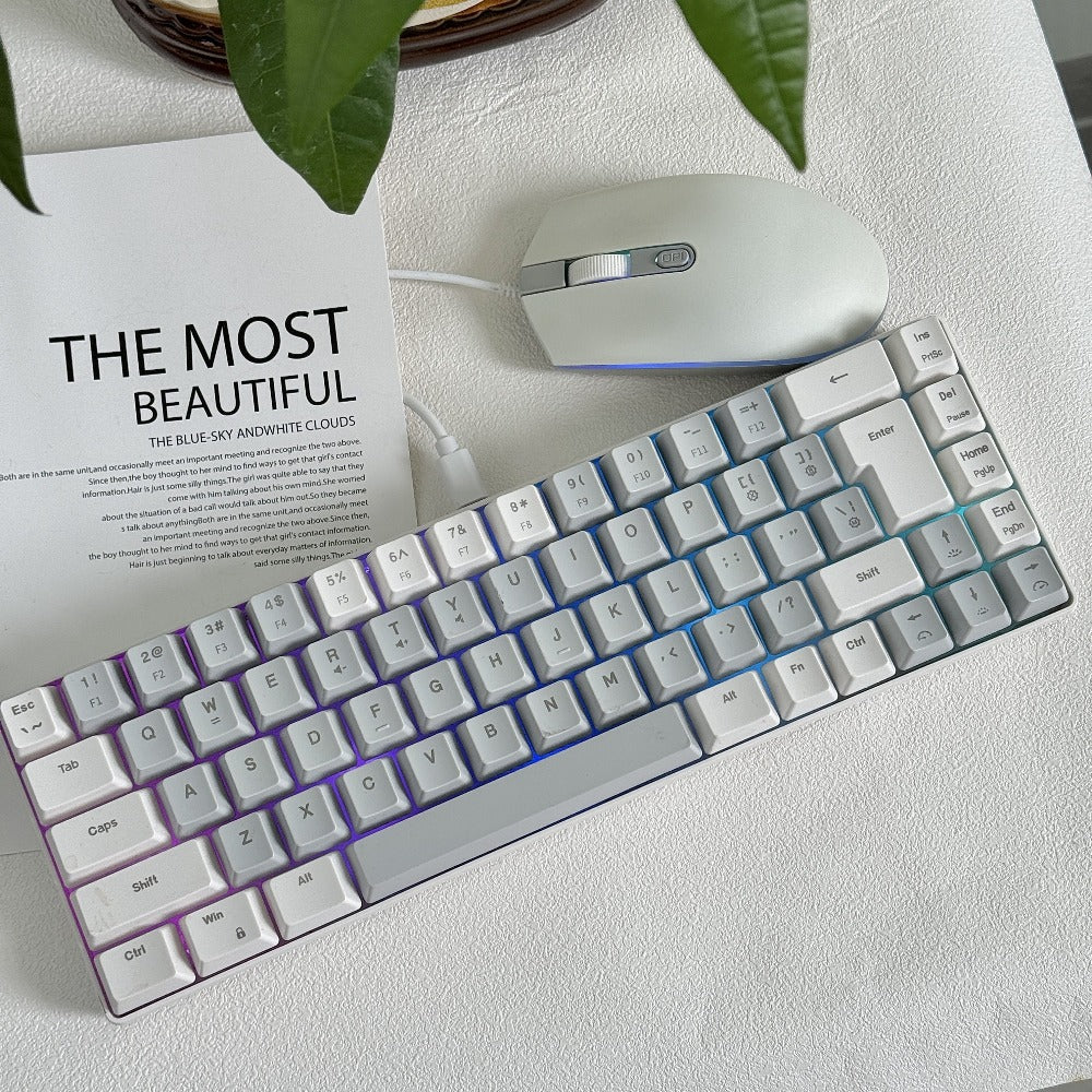 RGB Gaming Keyboard 68 Key Wired Mechanical Feel with RGB Backlight Film Switch Keycap Detachable Cable Compact TKL Layout for Gaming Office PC – 61/68 Key Multi-Color Options (K701)