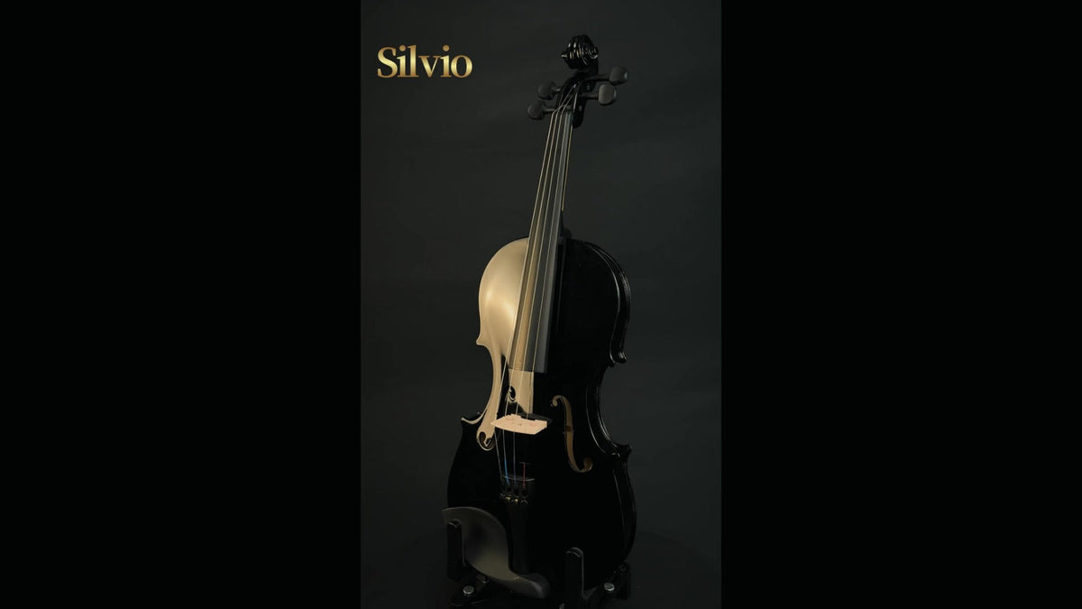 Full Size 4/4 Violin Kit, Black Beginner Violin with Hard Case and Bows detail image - detail view 9