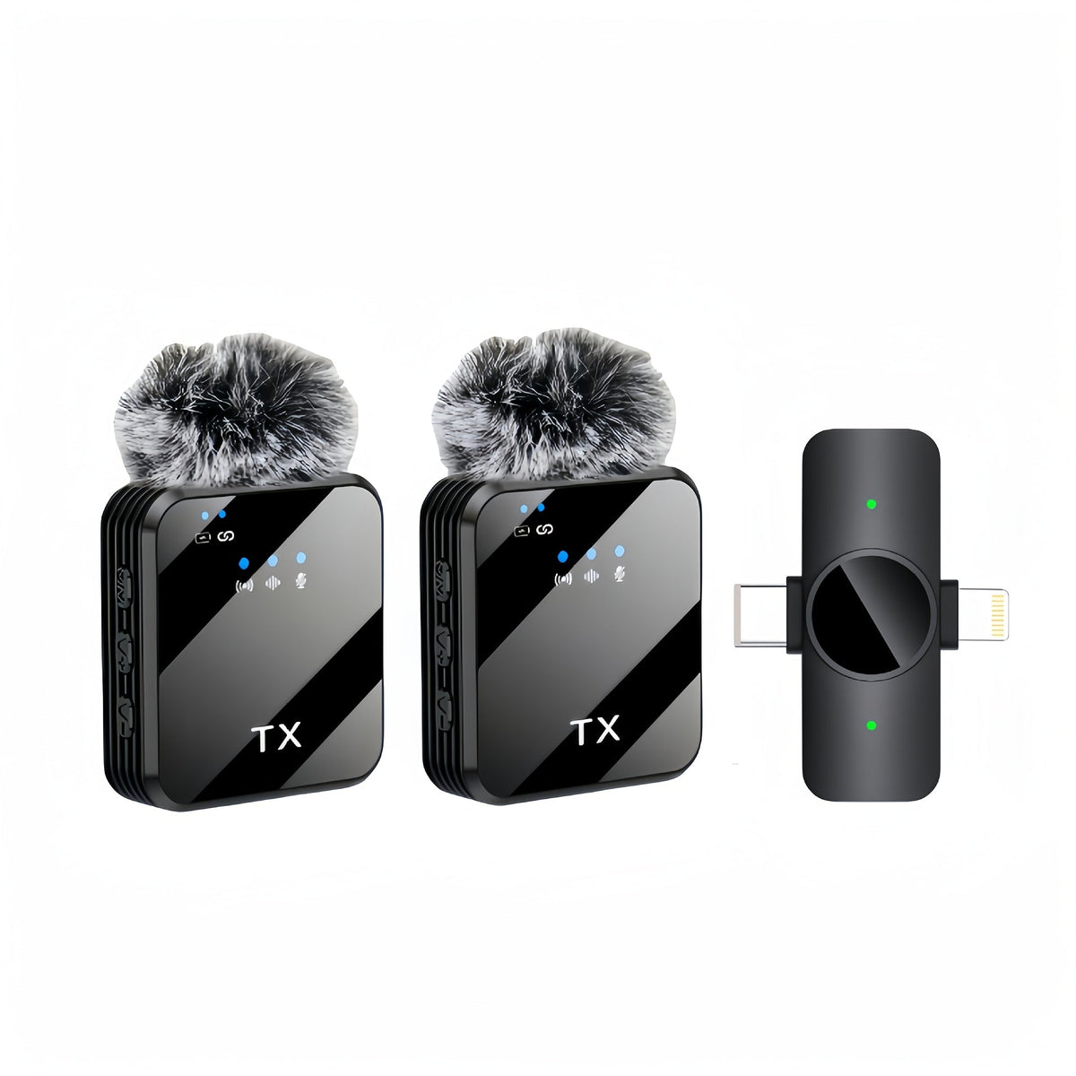 Recording Microphone shown in the Two Microphones option